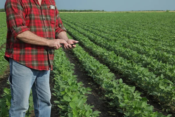 Tarım sahnesi, cep telefonu ile soya tarlasında çiftçi — Stok fotoğraf