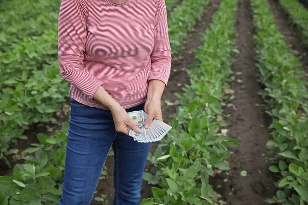 Agricultural scene, farmer in soybean field with money — Stock Photo, Image