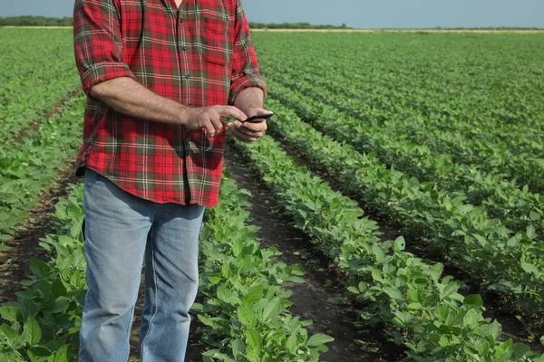 Tarım sahnesi, cep telefonu ile soya tarlasında çiftçi