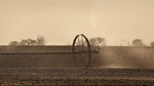 Cultivated field watering in early spring — Stock Photo, Image
