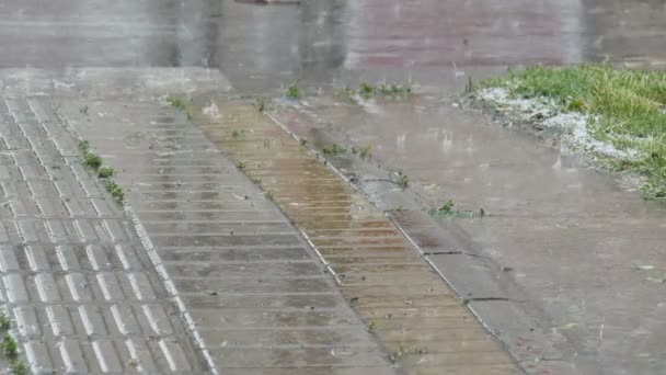 Lluvia Hielo Cayendo Charco Pavimento Húmedo Coche Pasando — Vídeo de stock