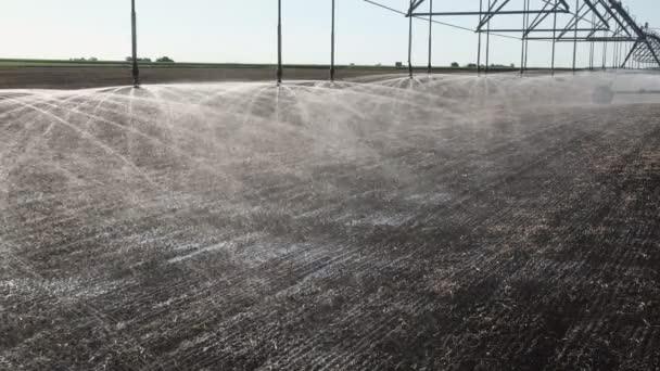 Campo Cultivado Con Sistema Riego Para Suministro Agua — Vídeos de Stock