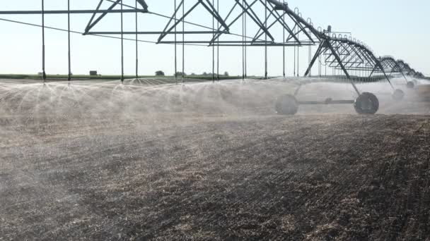 Cultivated Field Irrigation System Water Supply Sprinklers Splashing Water Cultivated — Stock Video
