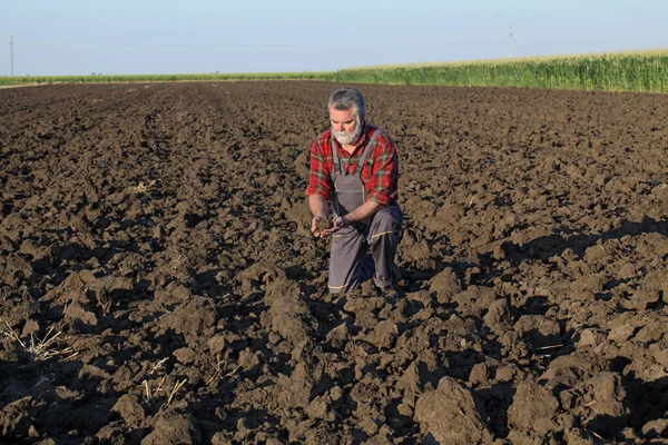 Landbouwers Agronomen Die Het Voorjaar Het Veld Inspecteren Ploegen Het — Stockfoto