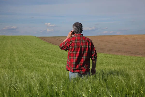 Farmer Agronomist Inspecting Quality Wheat Plants Field Speaking Mobile Phone — Stock Photo, Image