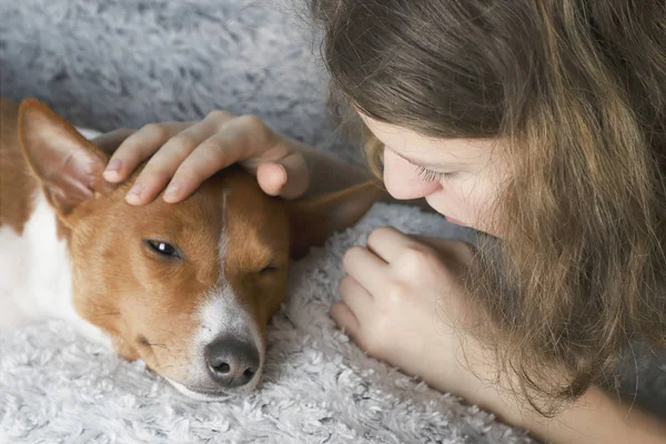 여자 안 아 basenji 개. — 스톡 사진