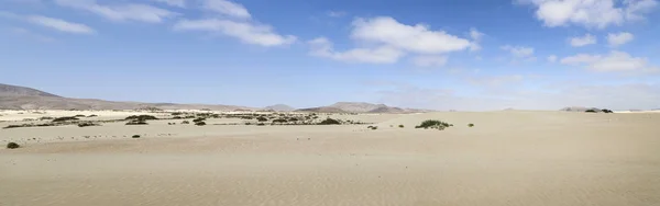 Corralejo Desert på Fuerteventura, Spanien. — Stockfoto