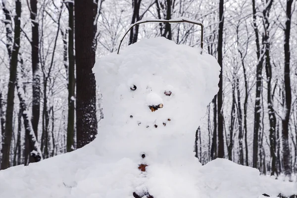 Allegro pupazzo di neve sorridente nel parco . — Foto Stock