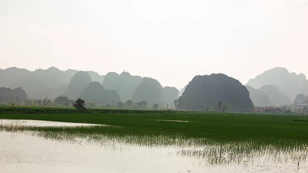 ベトナムの水田の山の風景 — ストック写真