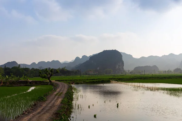 Hegyvidékeket a rizsföldek Vietnamban — Stock Fotó