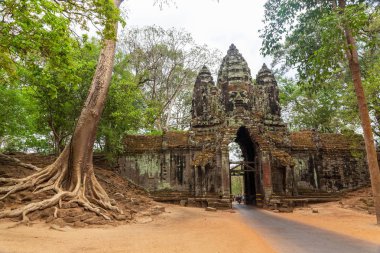 dev ile ormanda eski bir taş kapıdan küçük bir yol