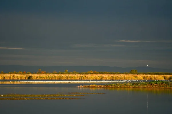 Sunrise Wetlands Hortobagy National Park Hungary — Stock Photo, Image