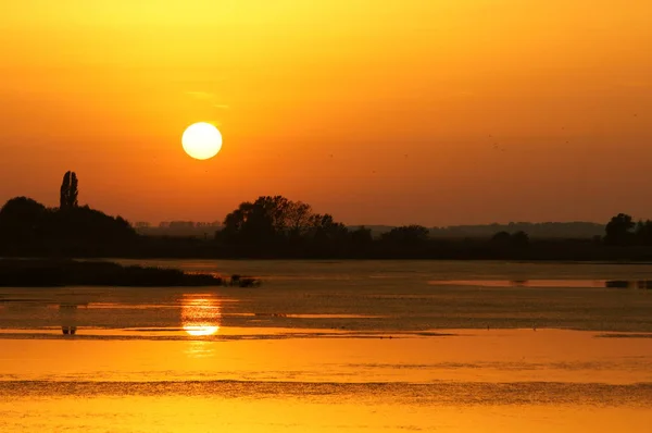 Sunrise Wetlands Hortobagy National Park Hungary — Stock Photo, Image