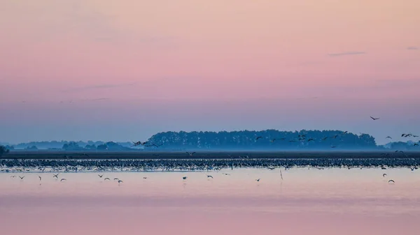 Sonnenaufgang Hortobagy Nationalpark Ungarn — Stockfoto