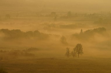 Puslu peyzaj San vadisinde. Bieszczady Dağlar. Polonya