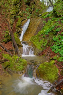 Bieszczady Dağlarında Şelale