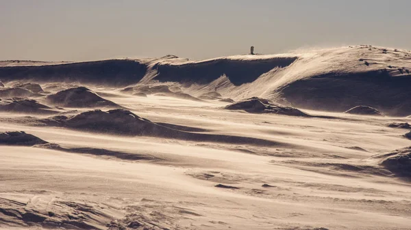 Όμορφο Χειμώνα Στα Βουνά Ένα Χιονισμένο Κορυφή Στα Βουνά Bieszczady — Φωτογραφία Αρχείου