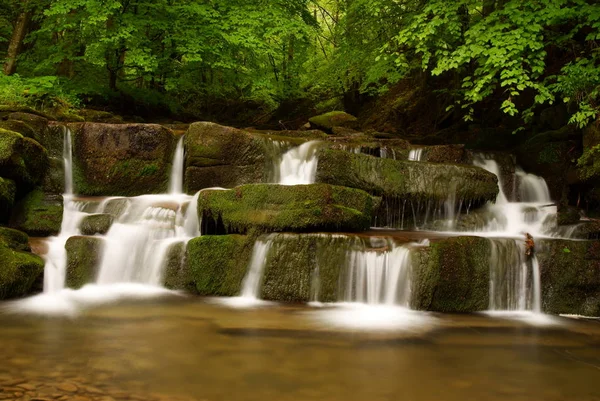 Cascata Sul Torrente Hulski Montagne Bieszczady Polonia — Foto Stock