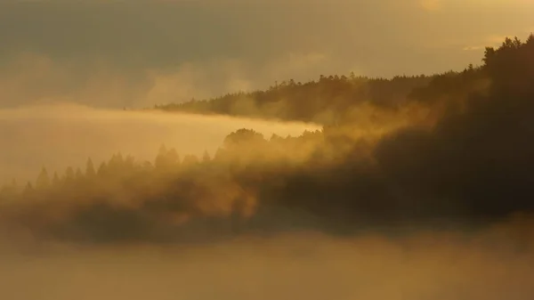 Neblige Landschaft San Tal Bieszczady Gebirge Polen — Stockfoto