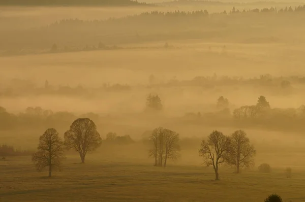 Ködös Táj San Völgyben Bieszczady Hegység Lengyelország — Stock Fotó