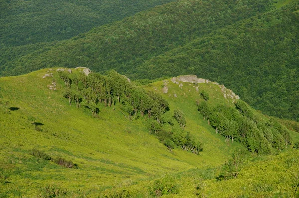 Bukowe Berdo Dağ Silsilesi Bieszczady Milli Parkı — Stok fotoğraf