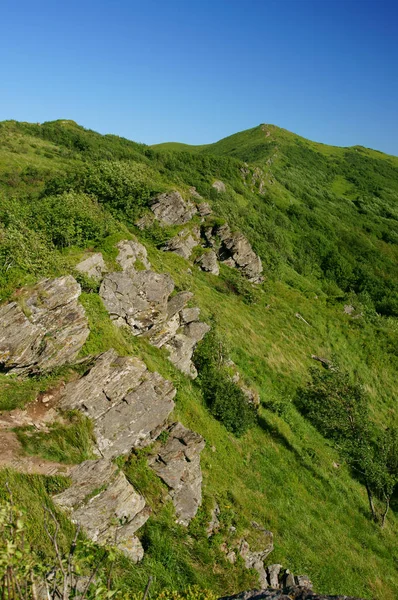 Cordillera Bukowe Berdo Parque Nacional Bieszczady — Foto de Stock