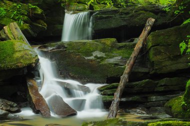 Şelale Hulski akışında. Bieszczady Mountais, Polonya.
