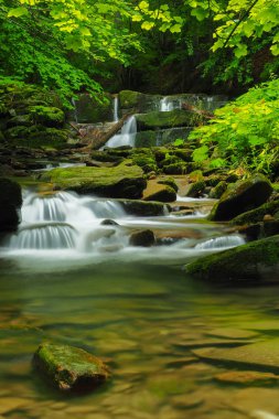 Şelale Hulski akışında. Bieszczady Mountais, Polonya.