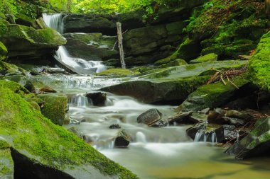 Şelale Hulski akışında. Bieszczady Mountais, Polonya.