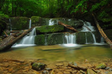 Şelale Hulski akışında. Bieszczady Mountais, Polonya.