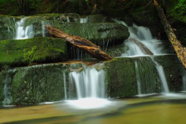 Şelale Hulski akışında. Bieszczady Mountais, Polonya.
