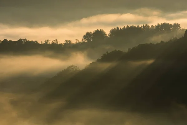 Nebliger Sonnenaufgang Bieszczady Gebirge Polen — Stockfoto