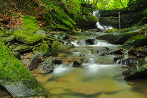 Şelale Hulski akışında. Bieszczady Mountais, Polonya.
