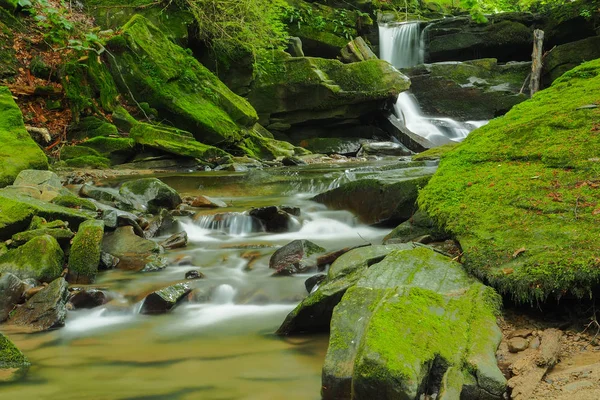 Şelale Hulski akışında. Bieszczady Mountais, Polonya.