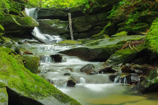 Şelale Hulski akışında. Bieszczady Mountais, Polonya.