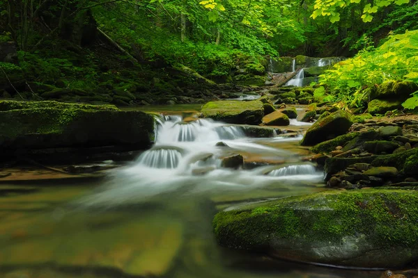Şelale Hulski akışında. Bieszczady Mountais, Polonya.