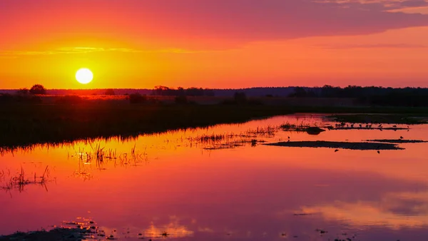 Sulak Bir Güzel Bahar Sunrise Biebrza Polonya — Stok fotoğraf