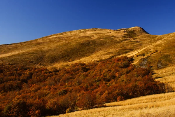 原生林の秋 ビェシチャディ山脈 Tarnica — ストック写真
