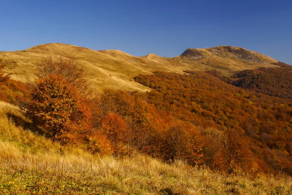 Autunno Nella Foresta Primordiale Montagne Bieszczady Tarnica — Foto Stock