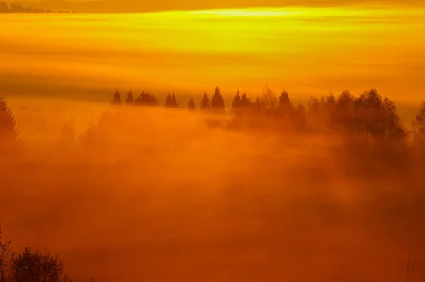 Восход Солнца Лесу Горы Бещады Польша — стоковое фото