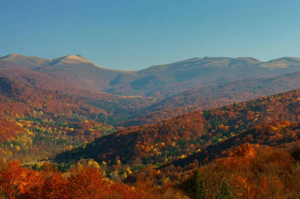 Φθινόπωρο Στο Αρχέγονο Δάσος Για Βουνά Bieszczady Εθνικό Πάρκο Bieszczady — Φωτογραφία Αρχείου