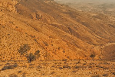Wadi Dana Milli Parkı, Dana rezerv tipik peyzaj. Ürdün