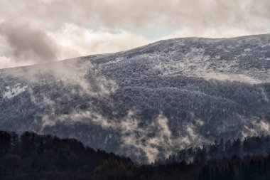 Sonbahar ilkel ormanın içinde. Bieszczady Dağlar. Polonina Wetlinska. Wetlinska Alp çayır