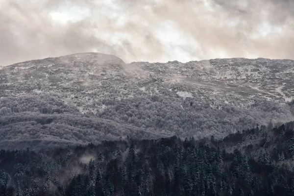 Sonbahar Ilkel Ormanın Içinde Bieszczady Dağlar Polonina Wetlinska Wetlinska Alp — Stok fotoğraf