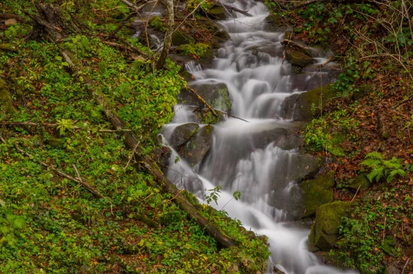 Şelale Orman Akışında Tarih Otryt Bieszczady Dağlar — Stok fotoğraf