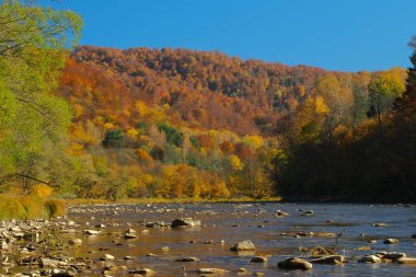 Sonbahar San vadisinde. Otryt. Bieszczady Dağlar.