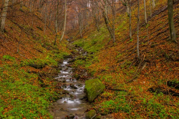 Waterfall Stream Forest Otryt Bieszczady Mountains — Stock Photo, Image
