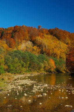 Sonbahar San vadisinde. Otryt. Bieszczady Dağlar.