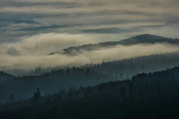 森林上空的云 比什扎迪山 — 图库照片