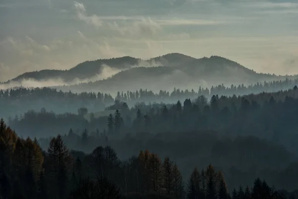 Nuvens Sobre Floresta Montanhas Bieszczady — Fotografia de Stock